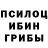 Псилоцибиновые грибы GOLDEN TEACHER TURTLECRAFTER 18