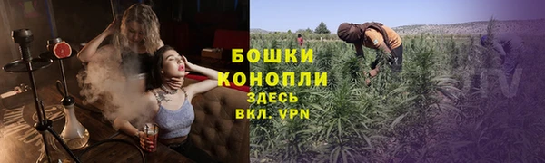 первитин Новозыбков