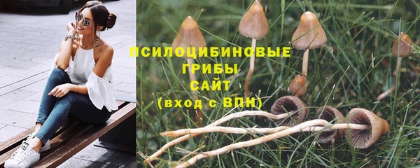 ГАЛЛЮЦИНОГЕННЫЕ ГРИБЫ Абинск