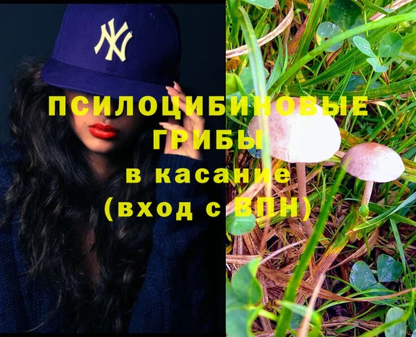jwh Абаза